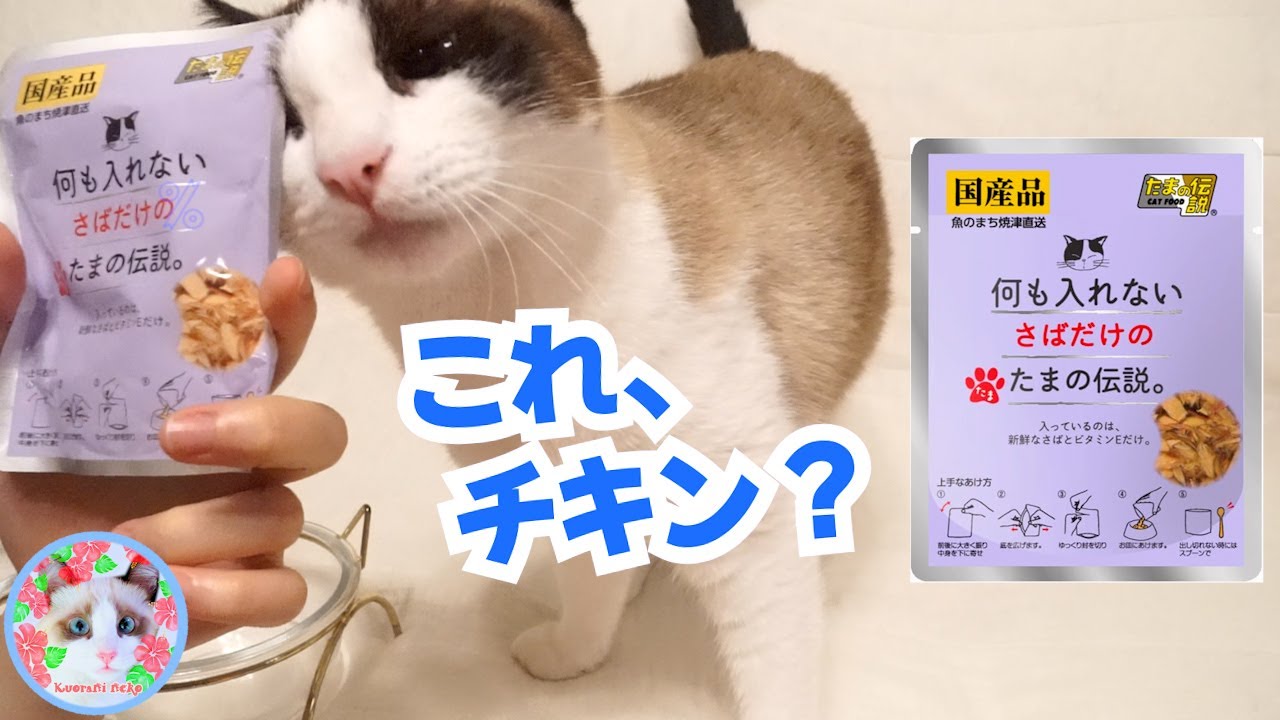 魚嫌いの猫がサバだけの餌を食べるのかどうか検証しました Will a cat that hates fish eat mackerel?