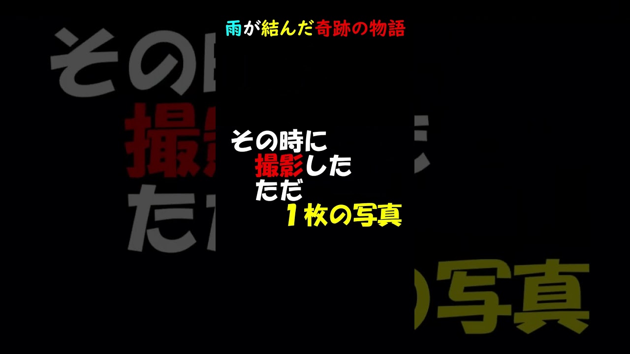 【雨が結んだ奇跡の出会い】お外生活７年間の地域猫が家猫になった。縁を結んだのは「雨の日」だった。びしょ濡れの猫が頭から離れなかった里親さま。あの日雨が降っていなければ..　#shorts 　#猫