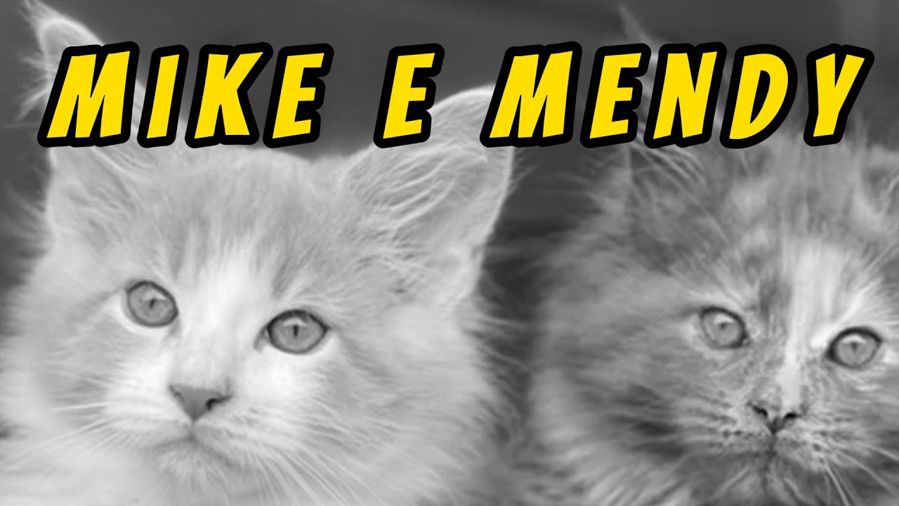 😺🐈🐈‍⬛😽#mainecoon #mainecooncat #mainecoonkitten #cats #mainecoonlovers #mainecoonlife #catlover