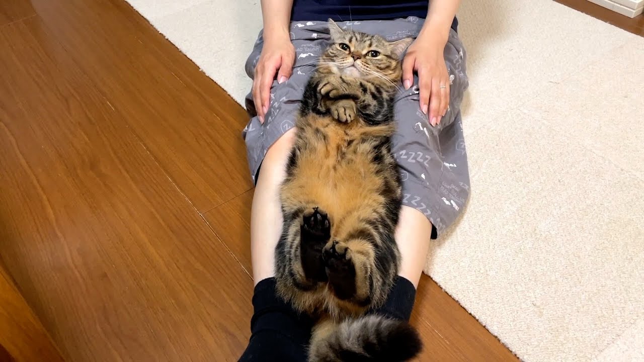 これは罰ゲームではありません、日常です。