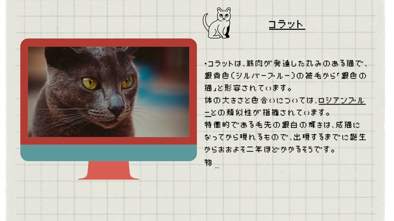 【コラット】ペットリフォームならセラフ榎本　犬猫のためのリフォーム　愛犬　ペット快適環境　東京都　埼玉県　神奈川県