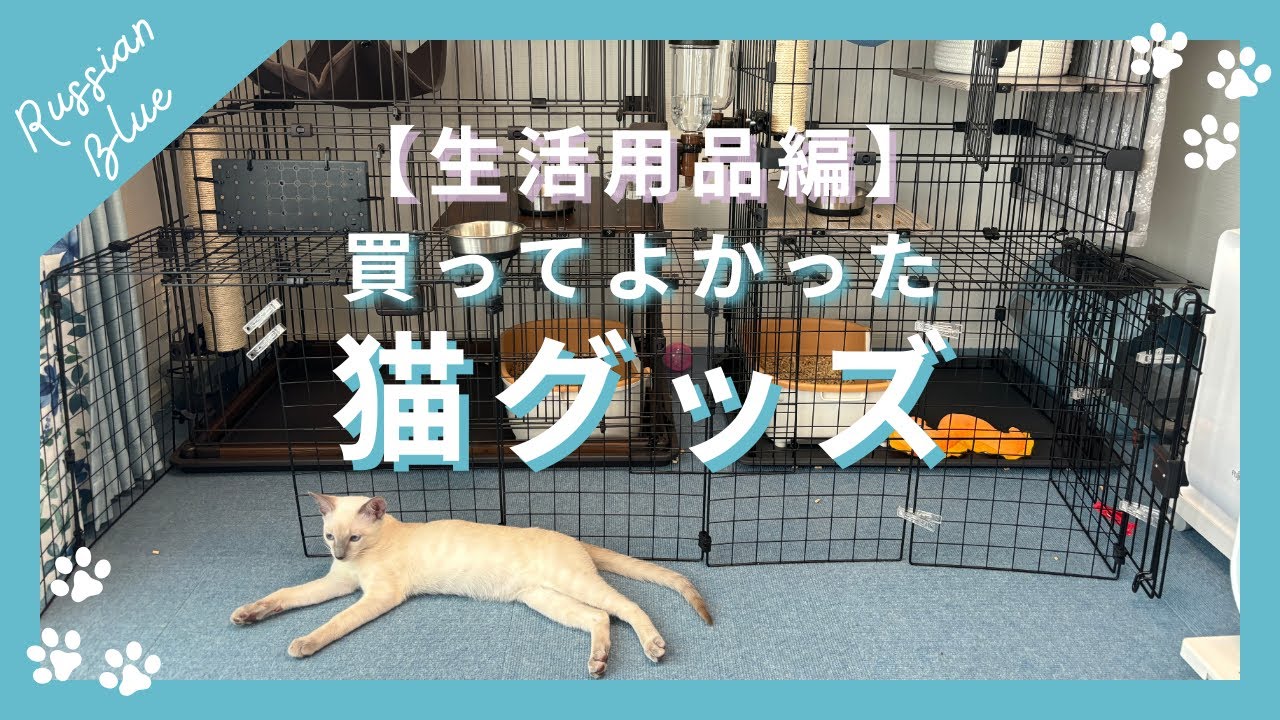 猫飼いさん必見！本当に買ってよかった猫グッズ【日用品編】