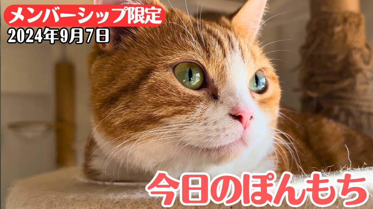 【特別公開】この動画は9月7日にメンバー限定で公開した動画です！