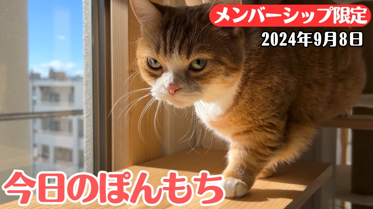 【特別公開】この動画は9月8日にメンバー限定で公開した動画です！