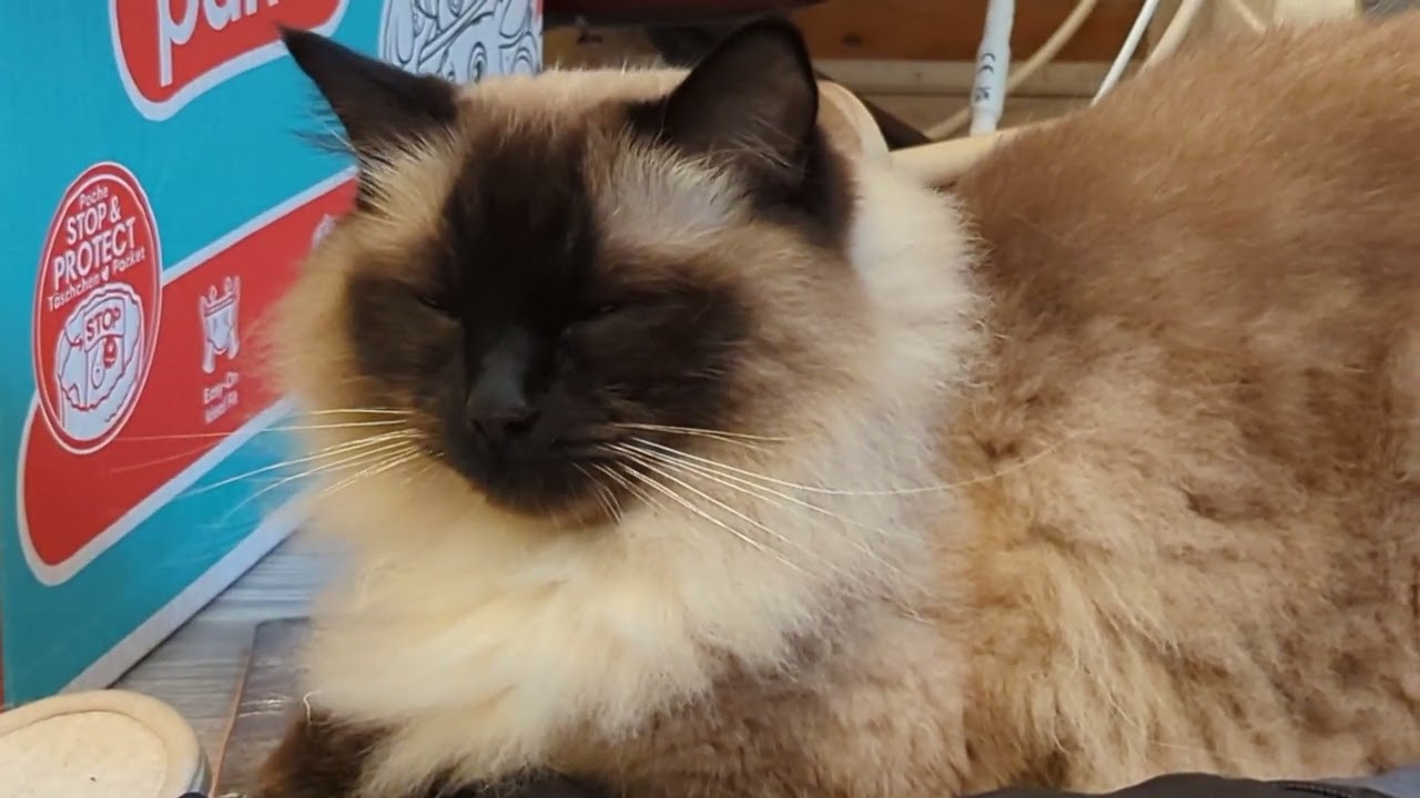 毎日リッちゃん2024/09/27