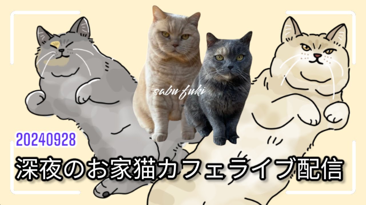 深夜のお家猫カフェライブ配信　１９２