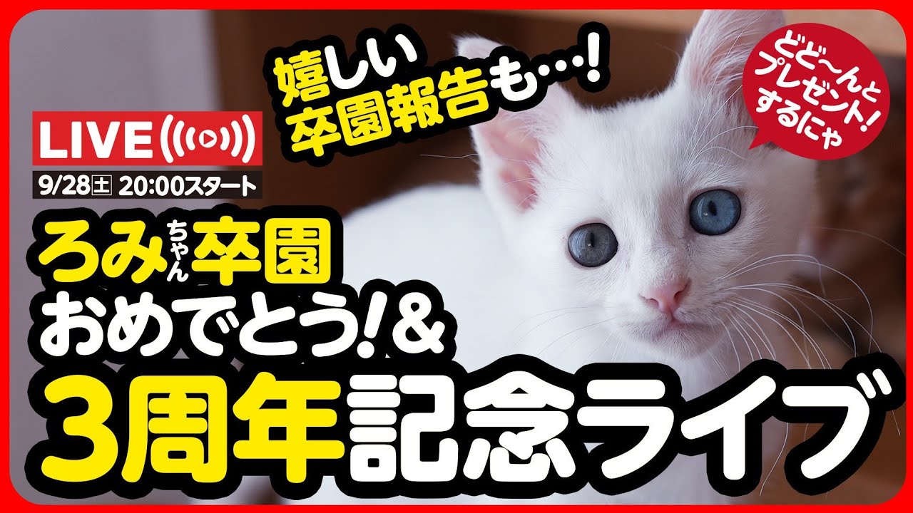 🔴【9月28日(土) 20時スタート予定】ろみちゃん卒園おめでとう💐&3周年記念ライブ🎊