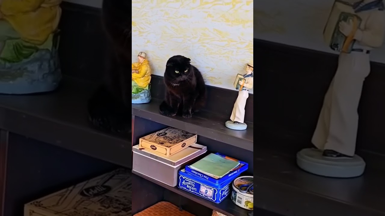 26 сентября 2024 г.