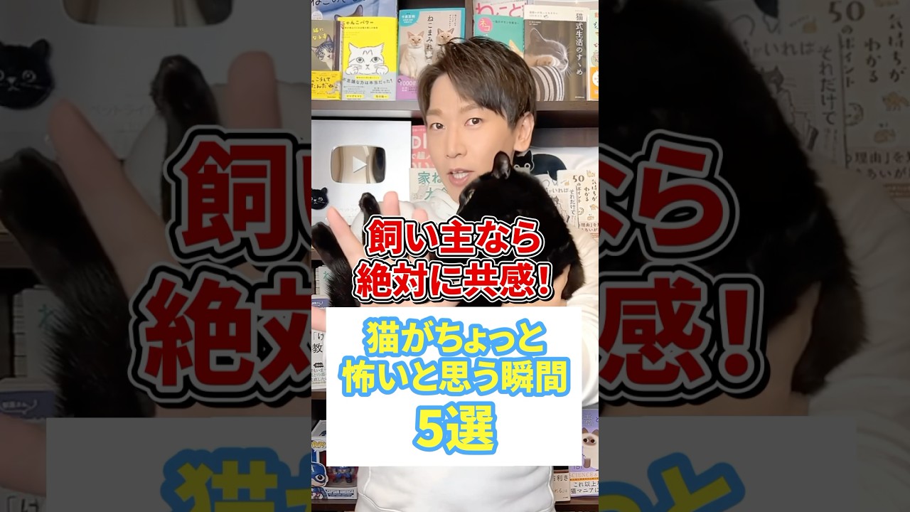 飼い主なら絶対共感！猫がちょっと怖いと思う瞬間５選 #猫 #猫好き #ねこ