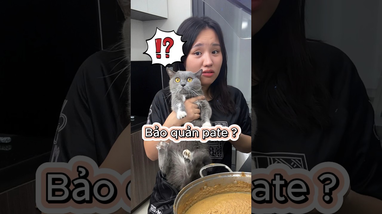 Cách bảo quản pate cho mèo - Thảo Mèo #thaomeo #patemeo