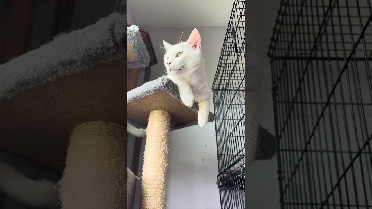 Update on Tonia! [STORY BELOW]