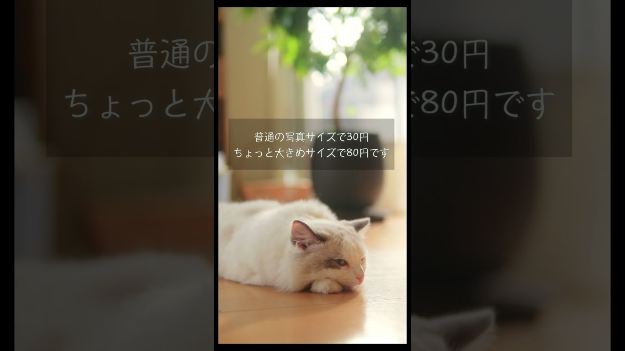 10月のカレンダー