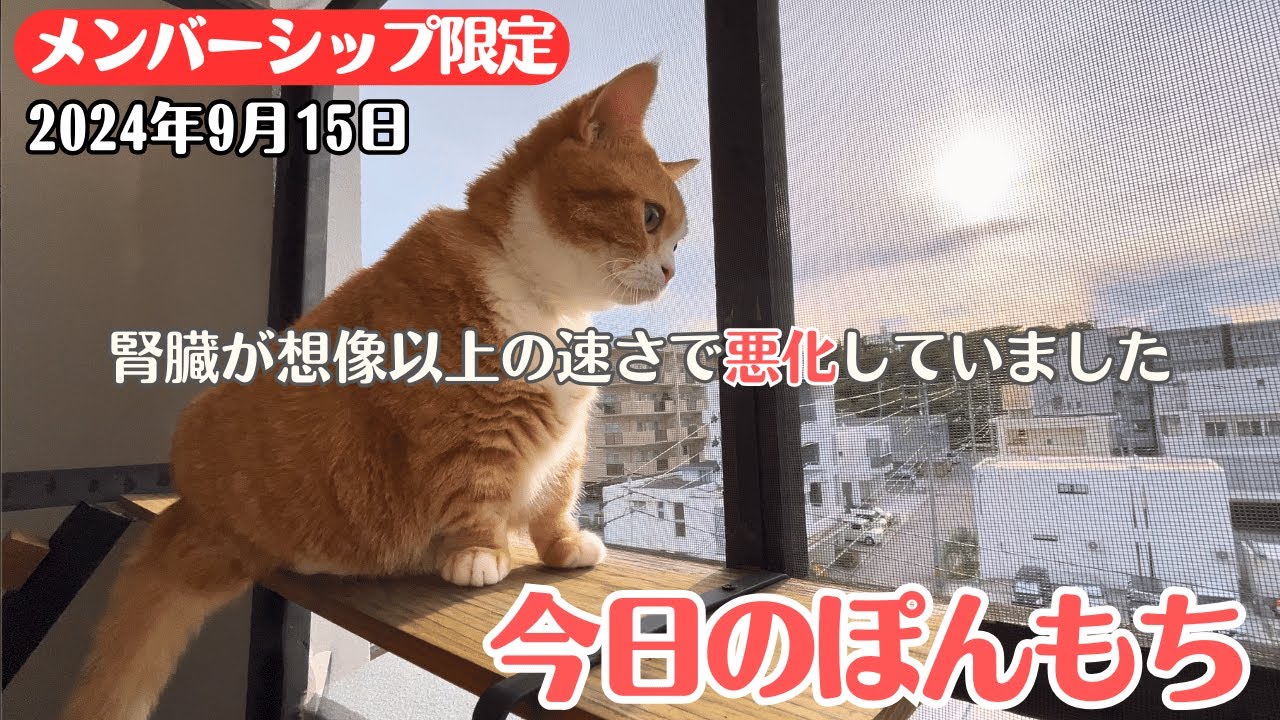 【特別公開】この動画は9月15日にメンバー限定で公開した動画です！