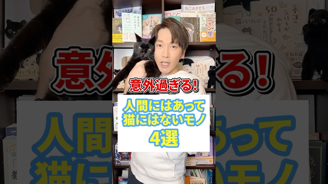 意外過ぎる！人間はあって猫にはないモノ４選 #猫 #猫のいる暮らし #ねこ