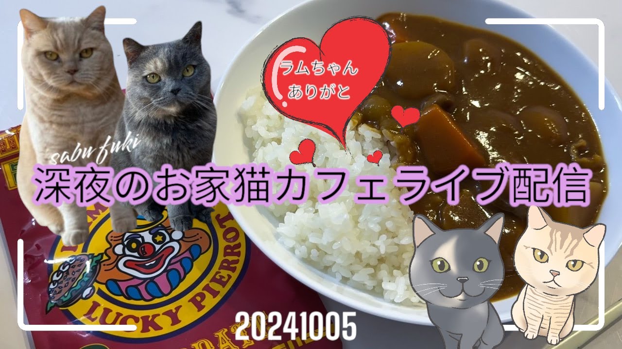 深夜のお家猫カフェライブ配信　１９９