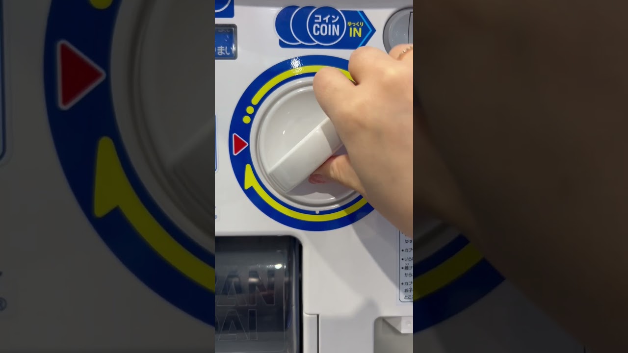 わくわくするよね#スコティッシュフォールド #猫 #おすすめ #バズれ