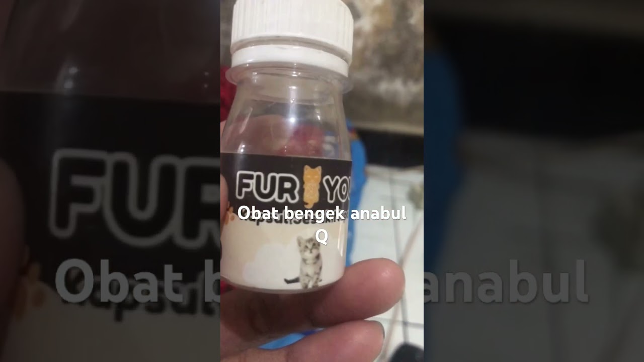 Obat untuk sesak nafas👍 #shots #catlover