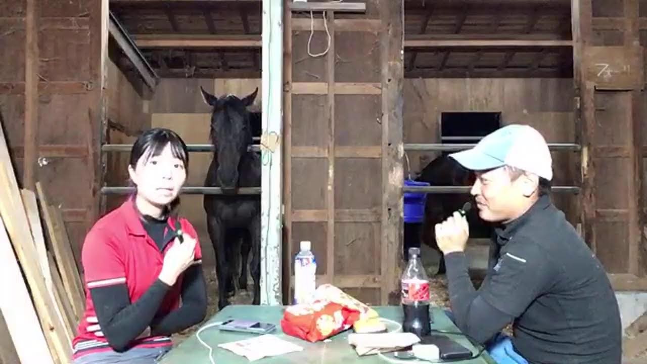 シャムロック乗馬TV がライブ配信中！