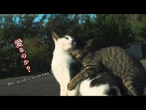 愛ゆえの喧嘩？？（再アップ）