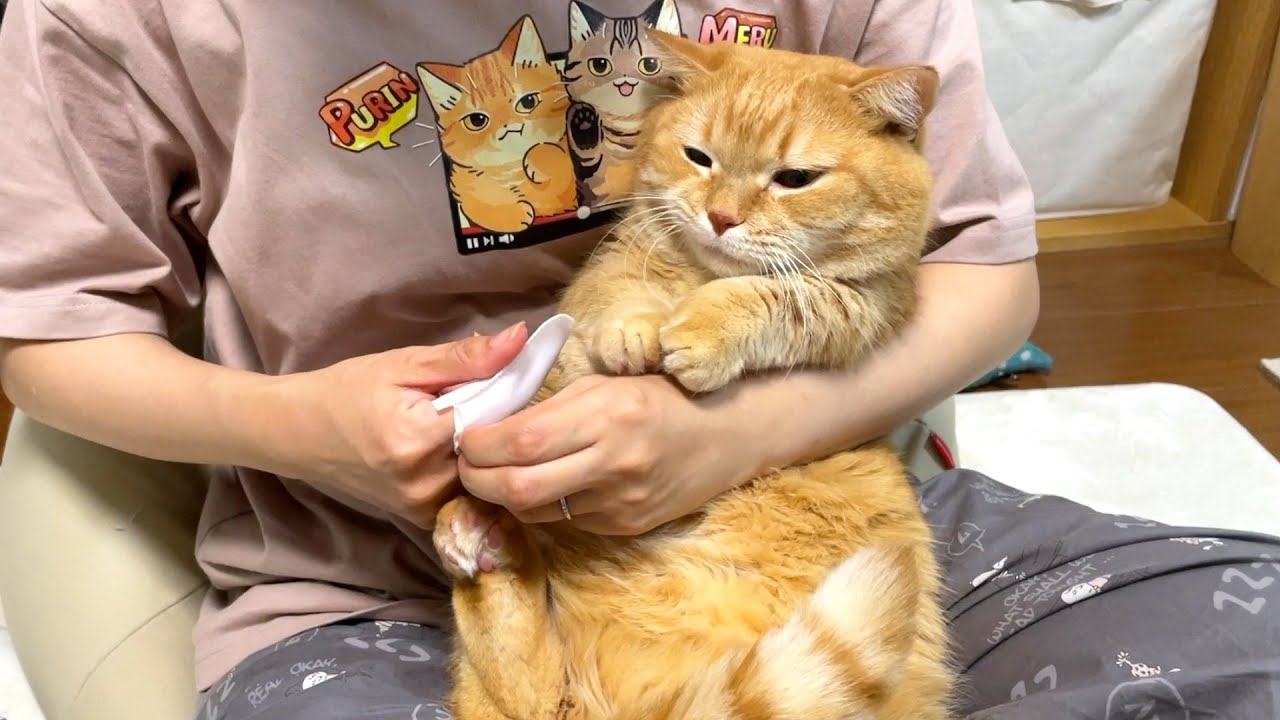 プリン「げ…今日の耳そうじ、ママかよ」
