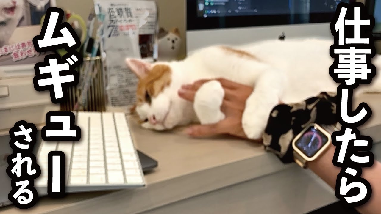 【甘えんぼ猫】腕を抱きしめられるので仕事ができなくなりました