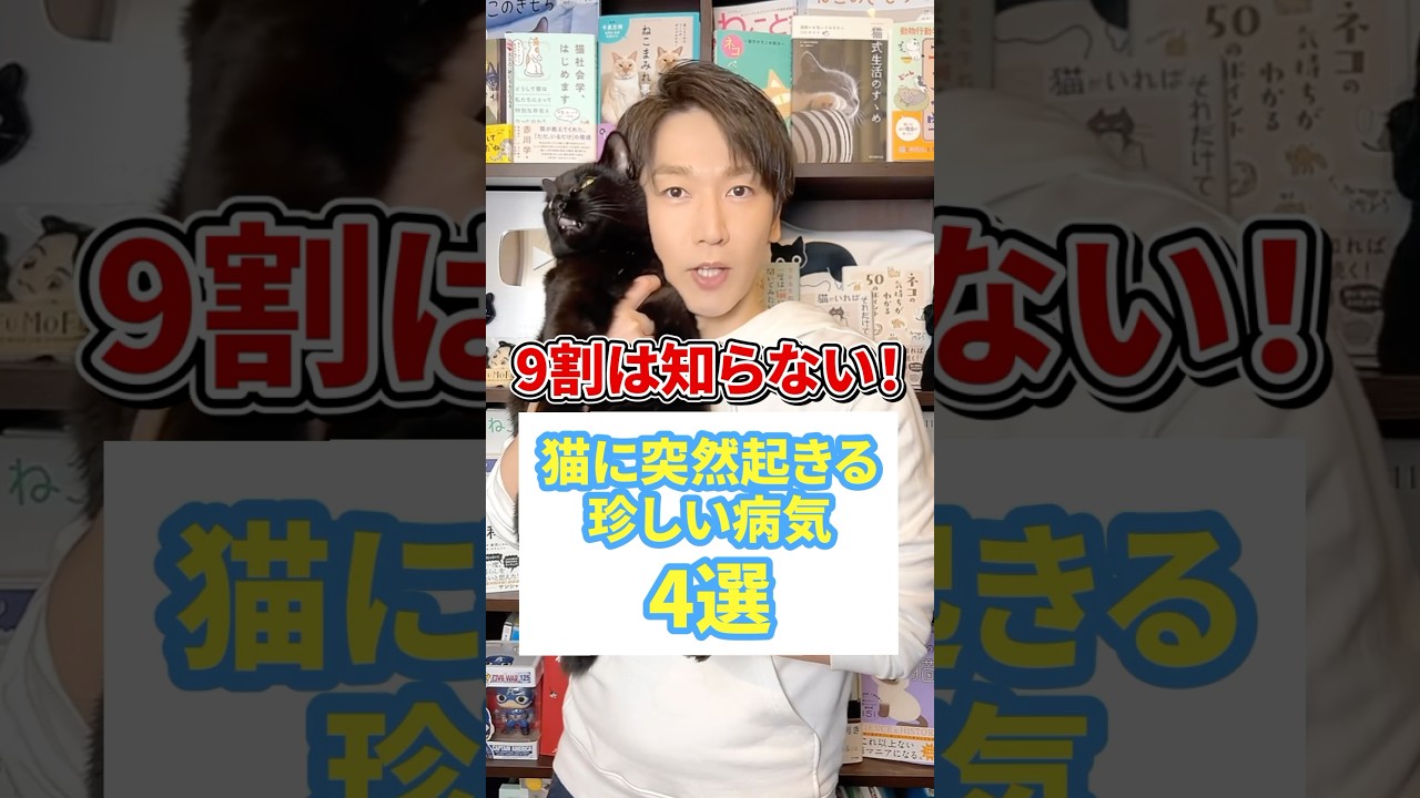 ９割は知らない！猫に突然起きる珍しい病気4選 #猫 #猫好き #ねこ