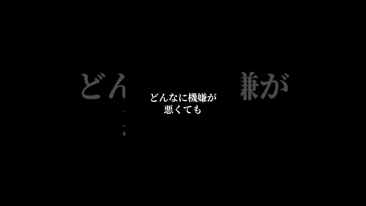 茶々の流儀 #猫 #マンチカン #shorts