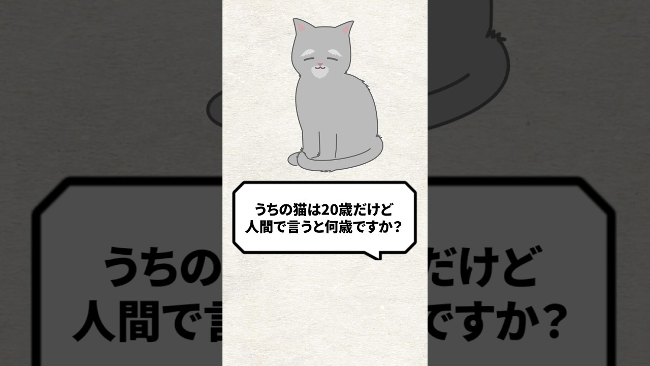 Q：うちの猫は20歳だけど人間で言うと何歳？ #猫 #猫のいる暮らし #保護猫 #ねこ