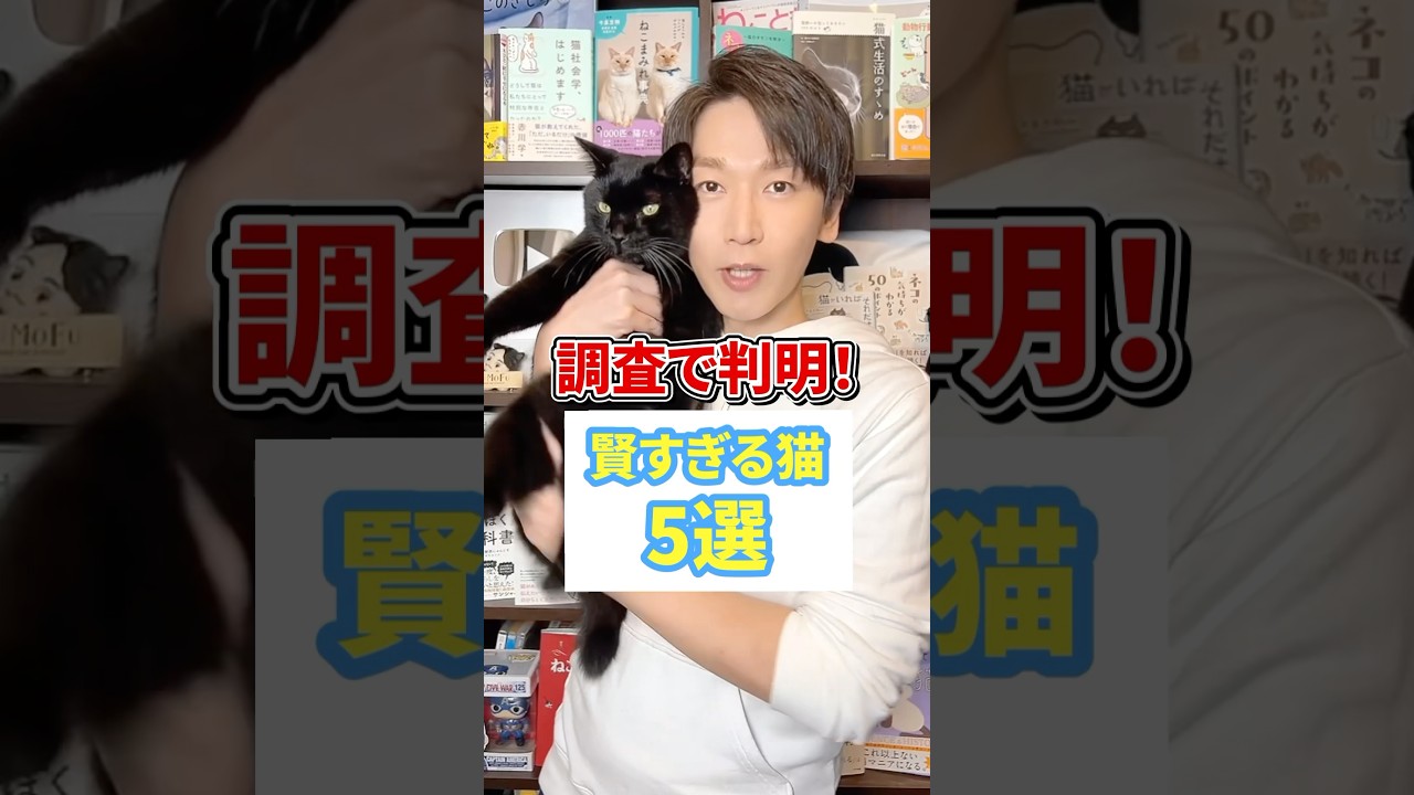 調査で判明！賢すぎる猫５選 #猫 #保護猫 #ねこ