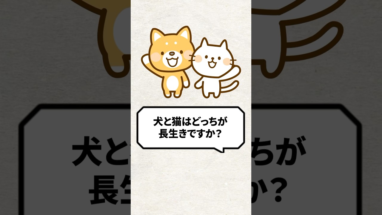 Q：犬と猫どっちが長生き？ #猫 #犬 #猫好き