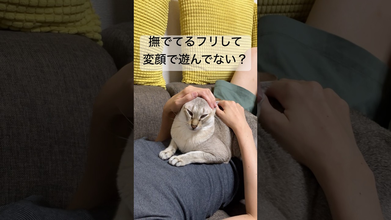 シンガプーラの変顔