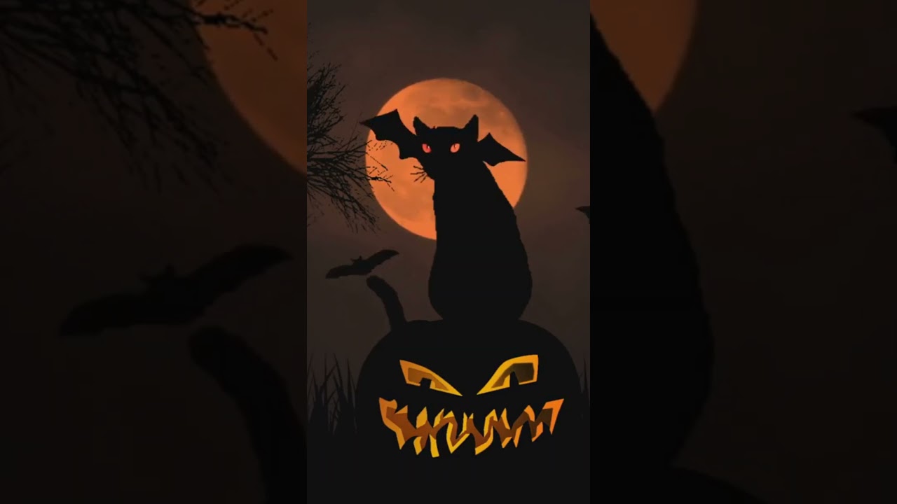 The Truth About Cats and Halloween Superstitions 🐾🎃 #Cats #Halloween #Myths #Cat #Love #Facts