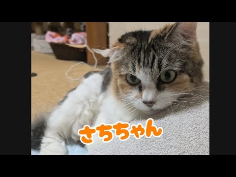 預かり保育、終了です