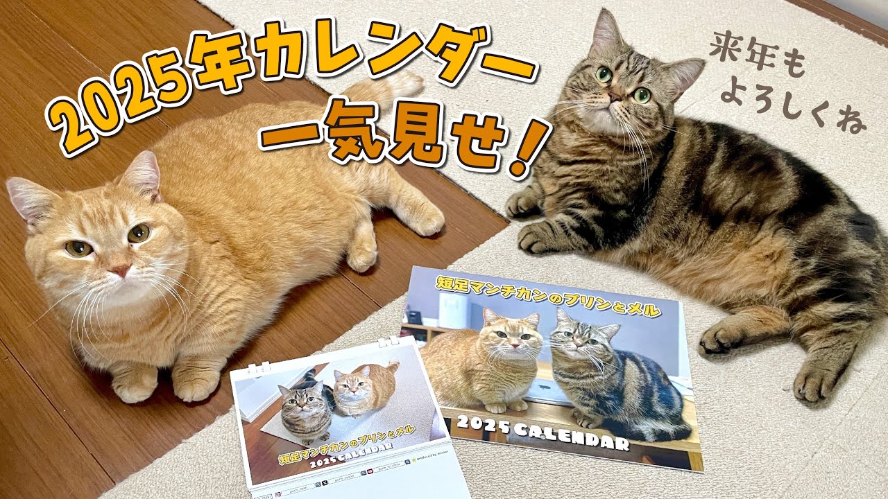 2025年のカレンダーの写真も全部可愛いから見ていって！