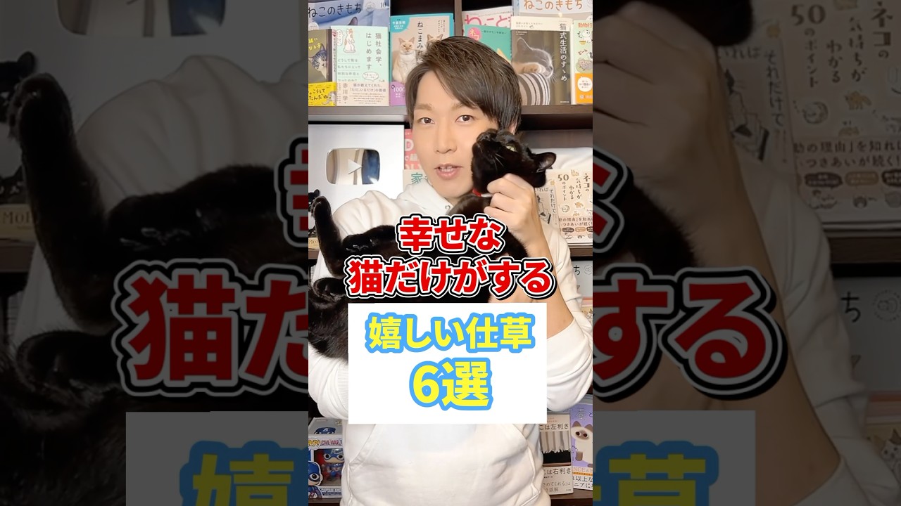 幸せな猫だけがする嬉しい仕草６選 #猫 #保護猫 #ねこ