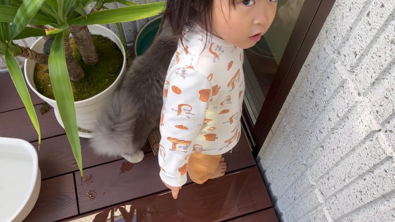 とんでもないウソをつく娘とマイペースな猫　サイベリアン