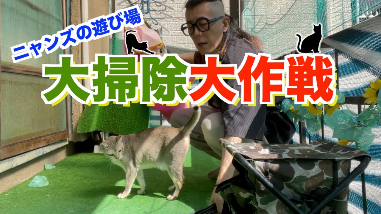 ニャンズの遊び場（ベランダ）が汚れてきたので丸洗いします