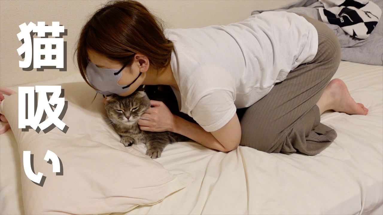 [猫吸い]シャンプー後の猫を吸うと天国へ行けます