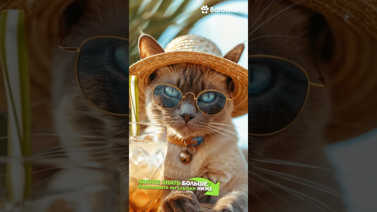 #Shorts 🧠 ТОП 10 🧠 Самых умных пород кошек 🧠