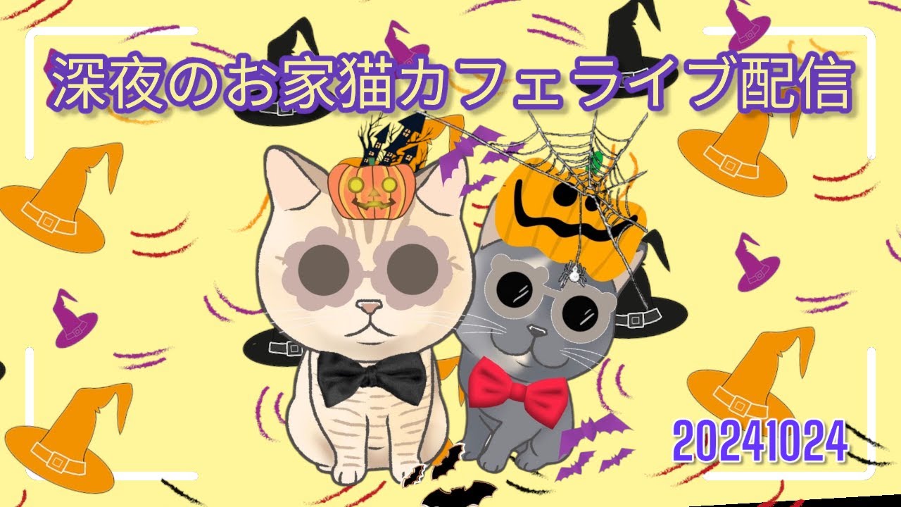 深夜のお家猫カフェライブ配信　２１８