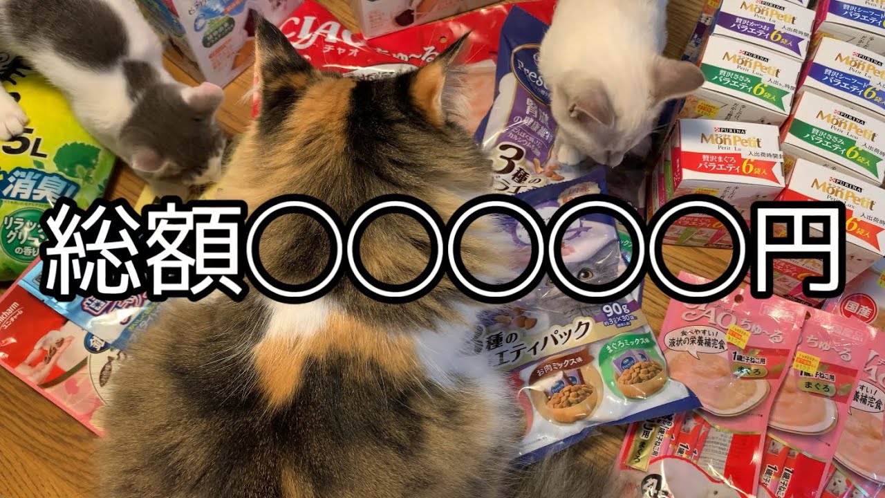 購入したおやつ紹介