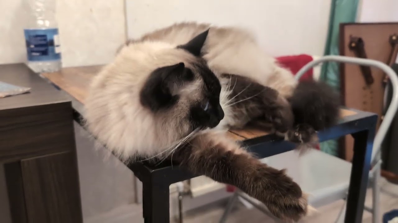 毎日リッちゃん2024/10/25