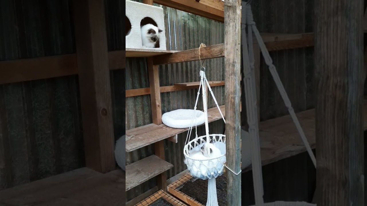 Hängekorb für gemütliche Momente