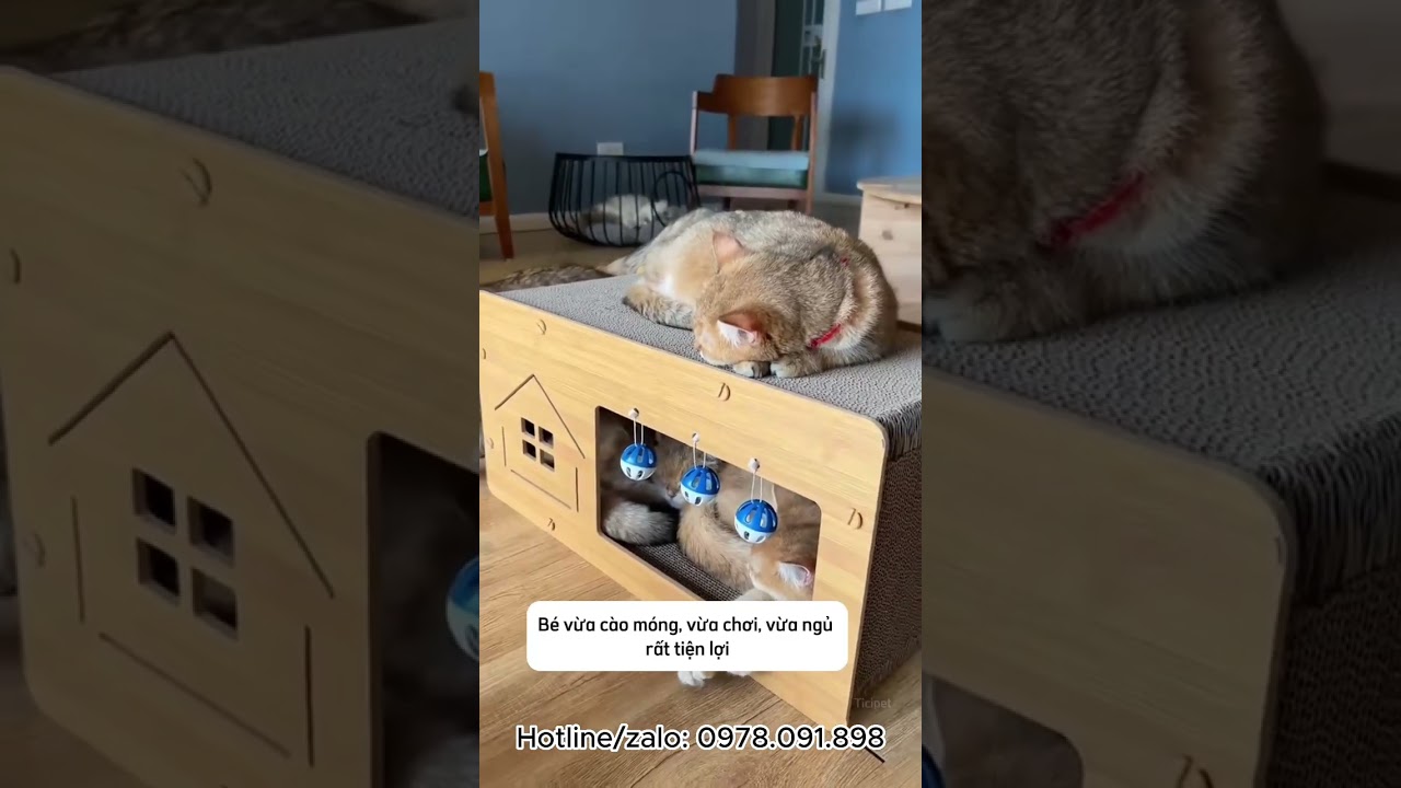 BÀN CÀO MÓNG, NHÀ CÀO SIÊU XINH CHO MÈO😻 #ticipet #pets #cat #petshop #animals #xuhuong #thucung