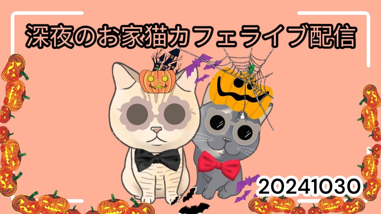 深夜のお家猫カフェライブ配信　２２４
