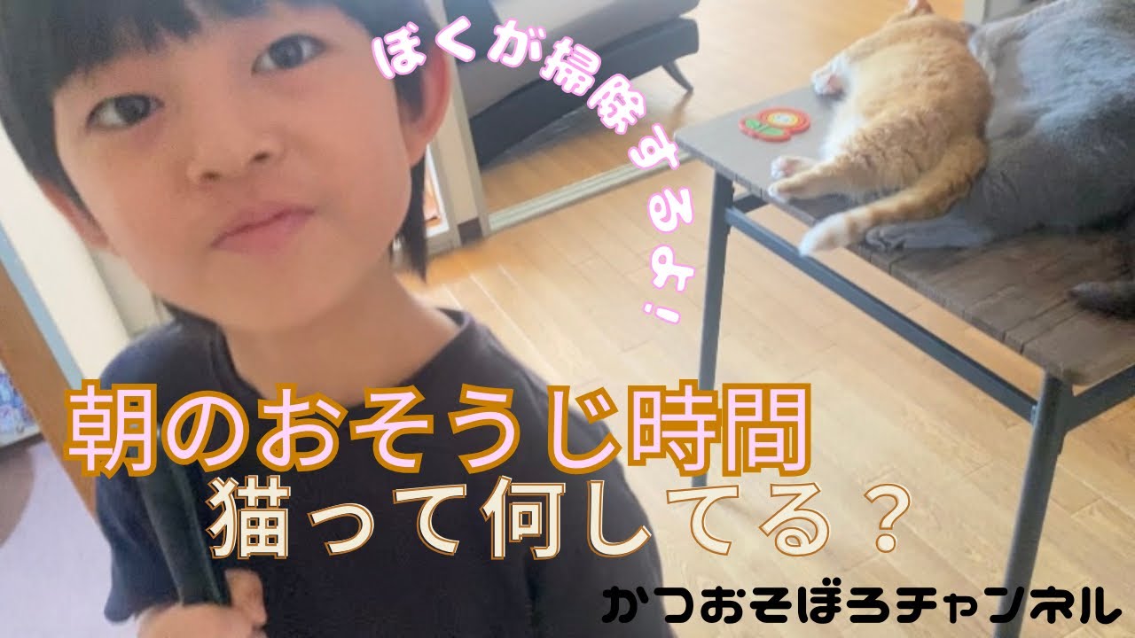 朝の掃除時間、猫はどんなふうに待ってるのか撮ってみた