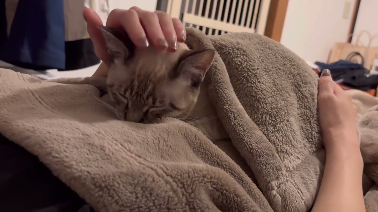 とっても甘えん坊だった夜☺️