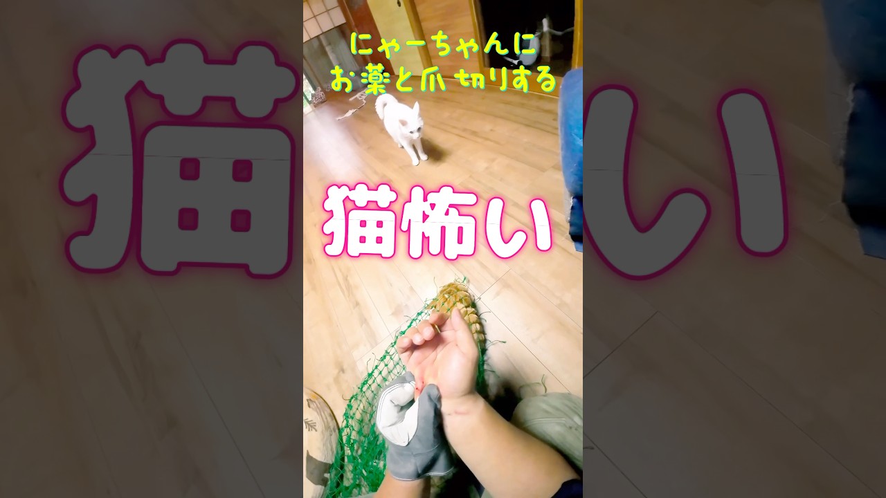 【右手をもっていかれても仕事をまっとうするシャンクスばりの勇姿！！！！】
