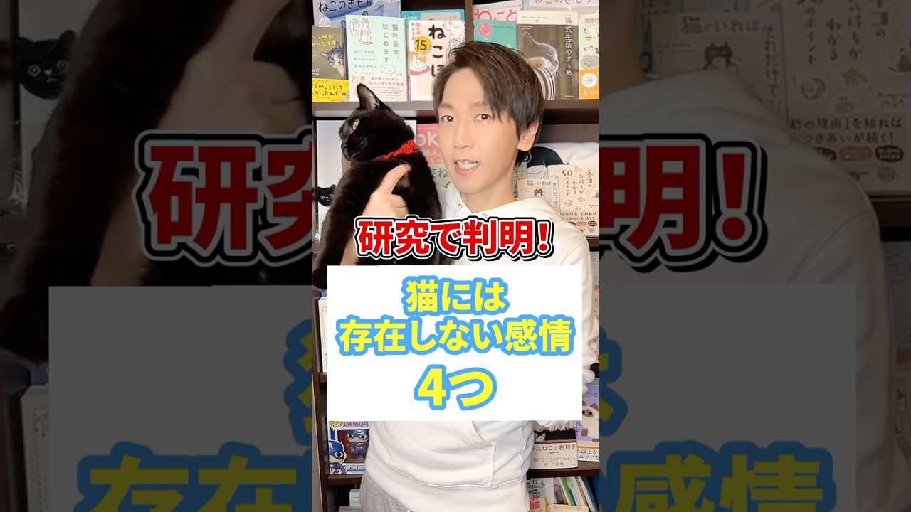 研究で判明！猫には存在しない感情４つ #ねこ #猫のいる暮らし #ねこ