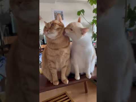 あたしの息子❤️